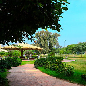 الحدائق والمنتزهات