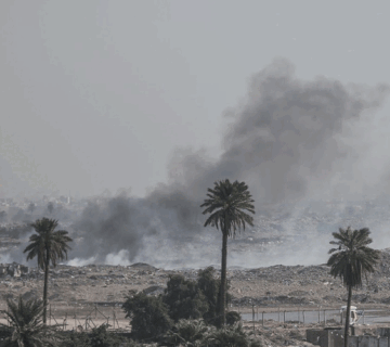 البيئة
