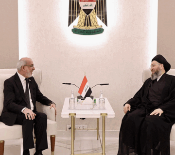السيد الحكيم