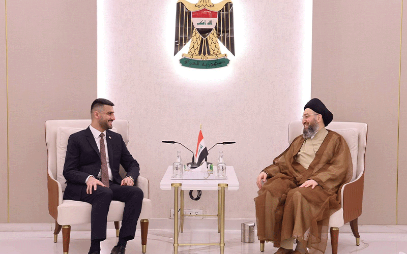 السيد الحكيم