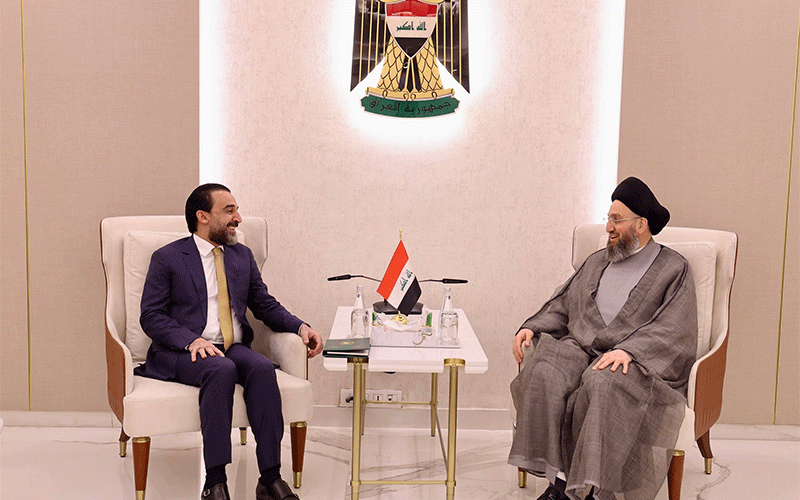 السيد الحكيم والحلبوسي