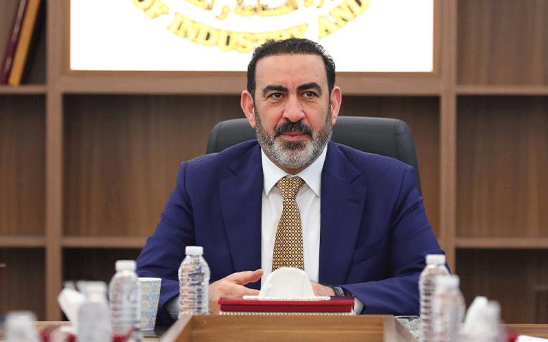 وزير التخطيط