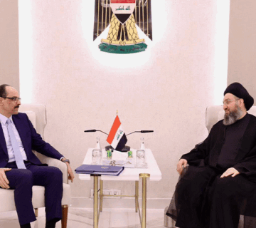 السيد الحكيم