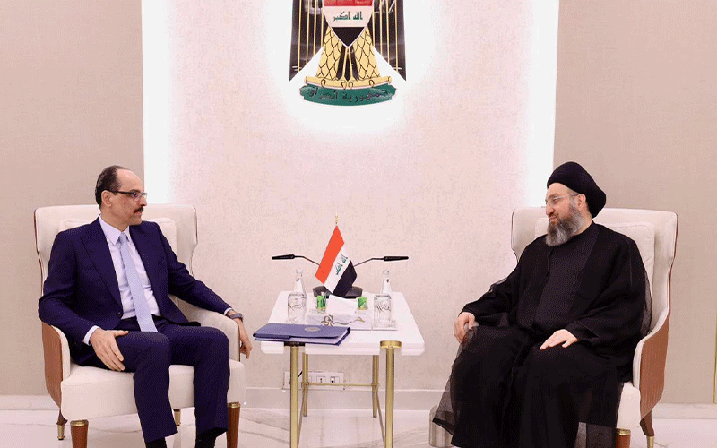 السيد الحكيم
