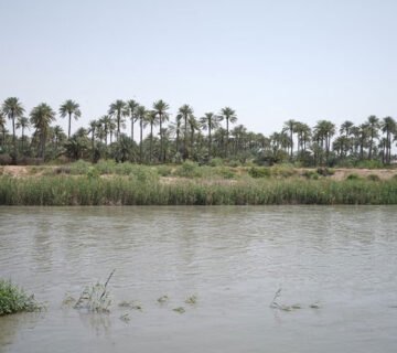 مجرى مائي تحيط به أشجار النخيل والنباتات في العراق 